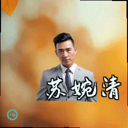 苏婉清